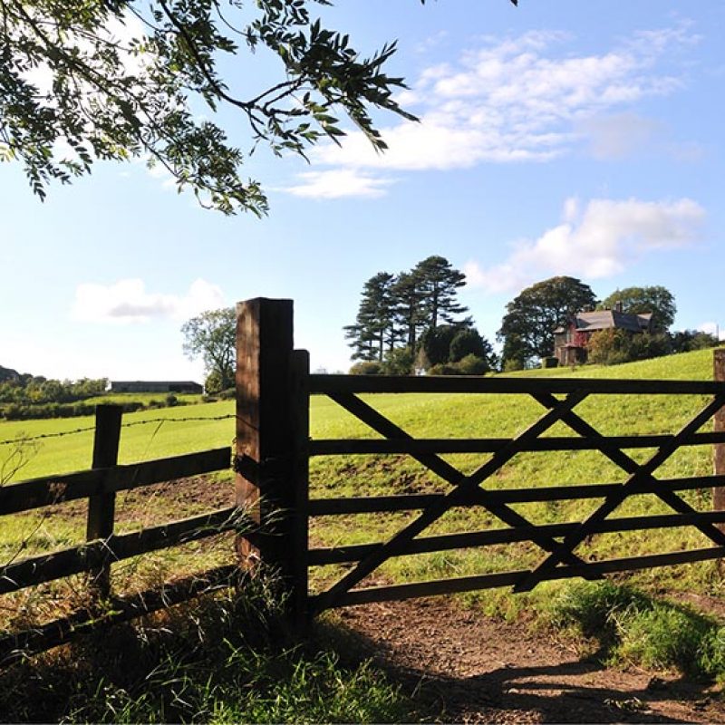 Happy clients sharing their experiences with Land Agency Cheshire